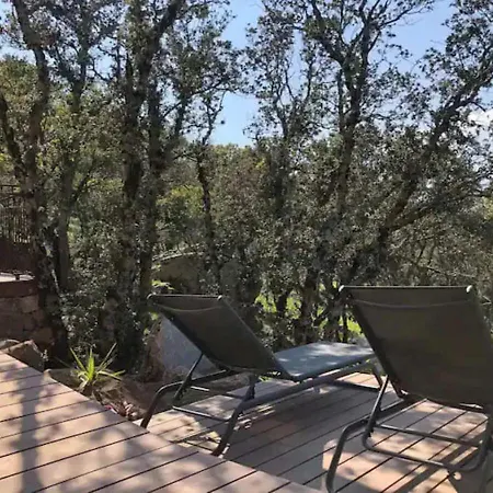 Villa D'architecte Sotta